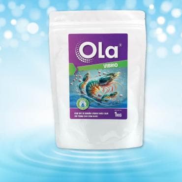 OLA VIBRIO