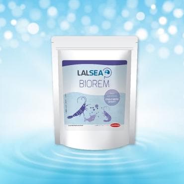 LALSEA BIOREM