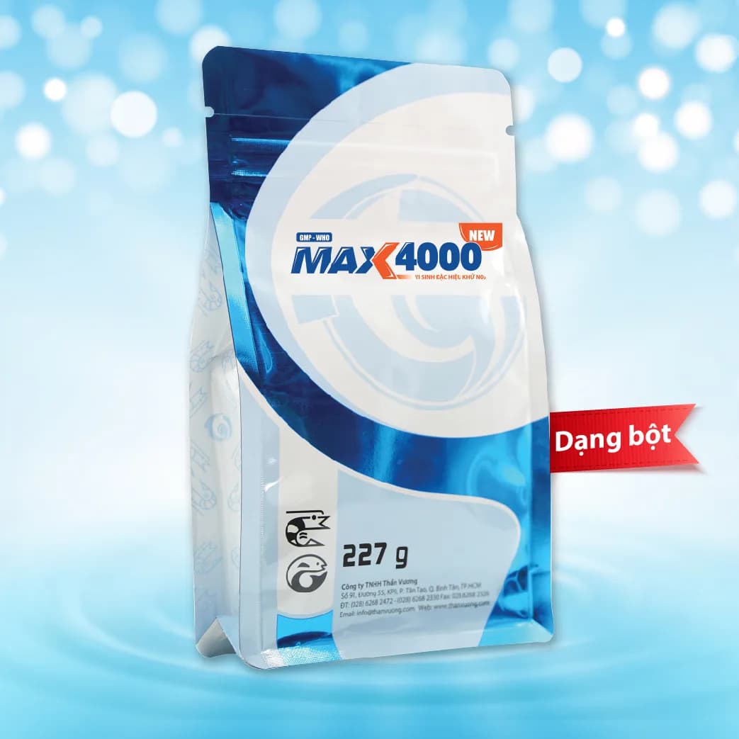 MAX 4000