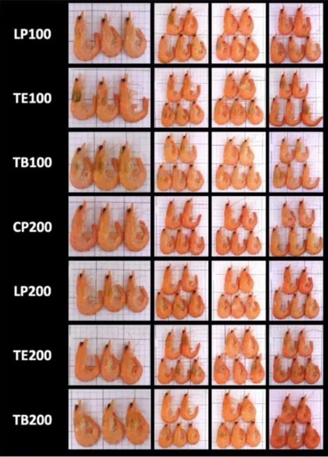 GENETICALLY MODIFIED YEAST PROVES A PROMISING ASTAXANTHIN SOURCE FOR SHRIMP FEED