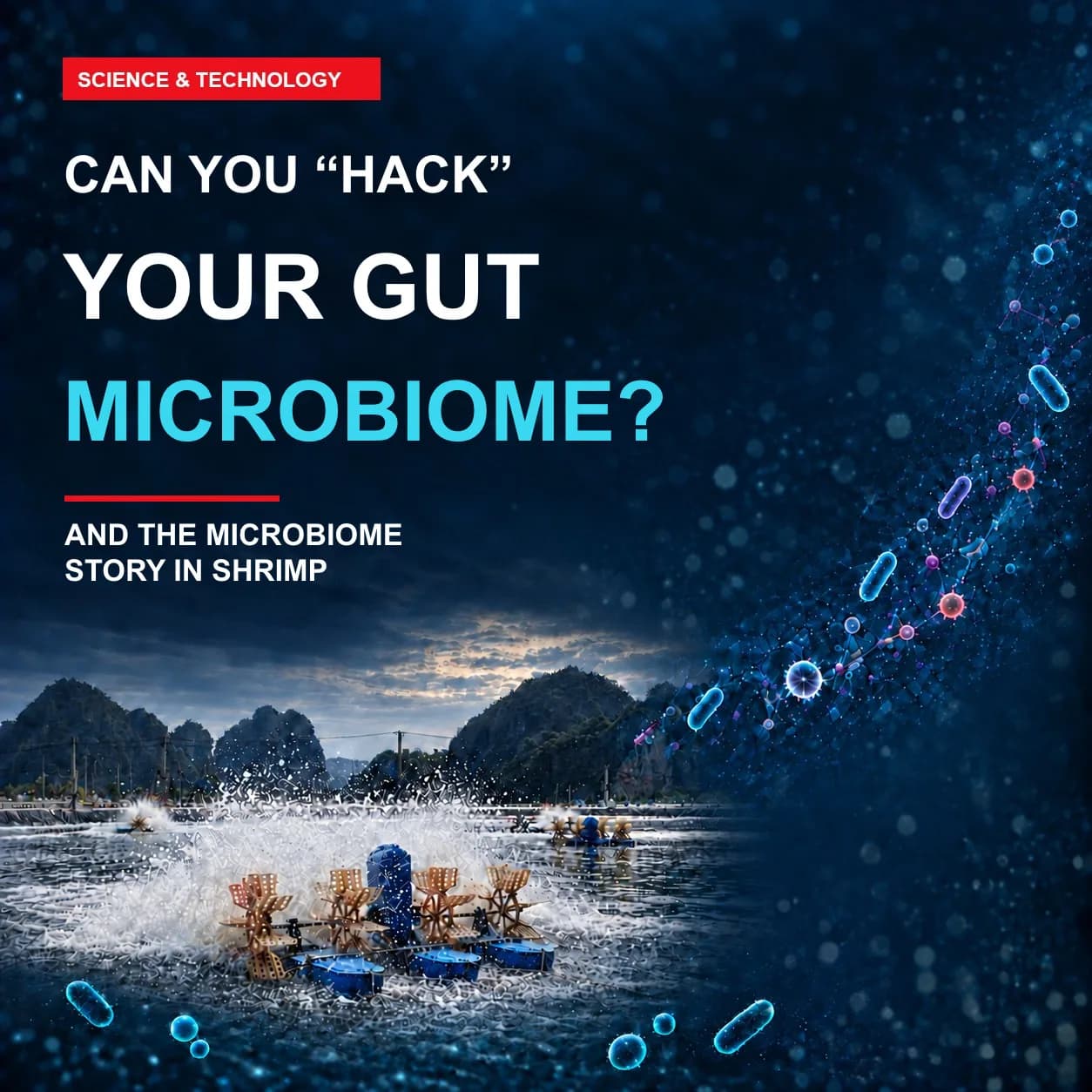 Can You "Hack" Your Gut Microbiome? And the Microbiome Story in Shrimp