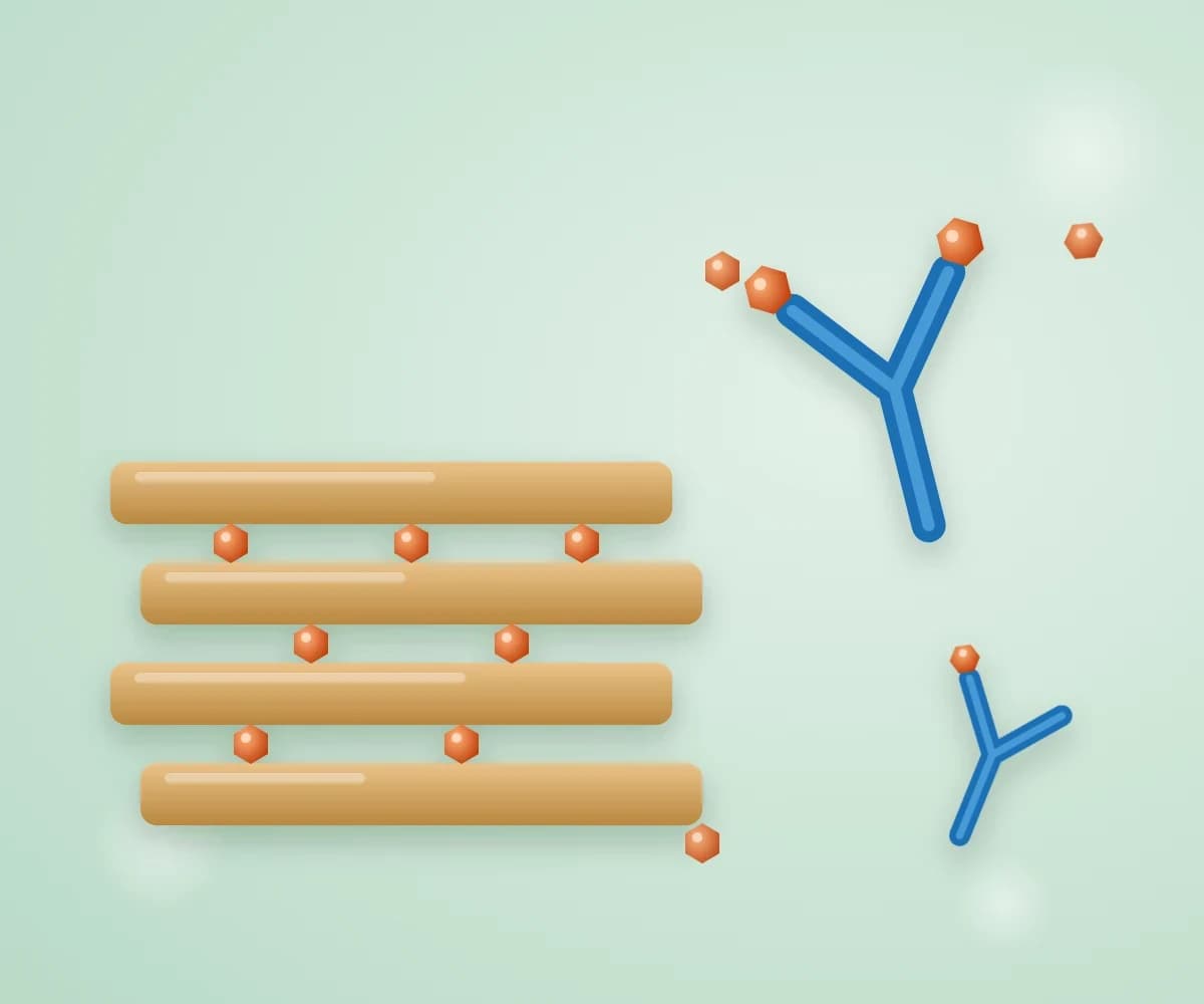 Binding and neutralising the Vibrio toxins behind EMS and TPD: clay, antibodies in feed and anti-virulence compounds — how strong is the evidence?