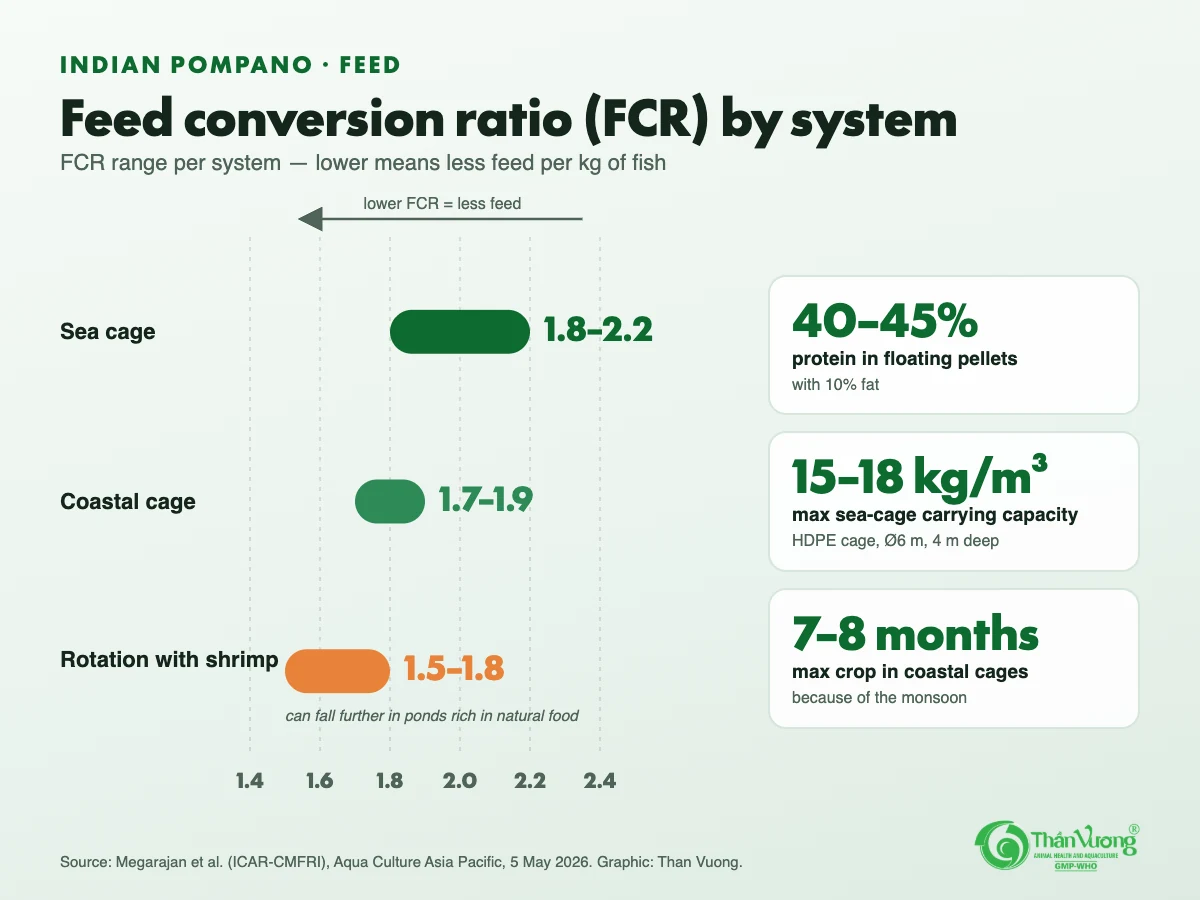FCR range chart: sea cage 1.8–2.2; coastal cage 1.7–1.9; rotation with shrimp 1.5–1.8; floating pellets with 40–45% protein; sea-cage carrying capacity 15–18 kg per cubic metre; coastal-cage crops of 7–8 months at most