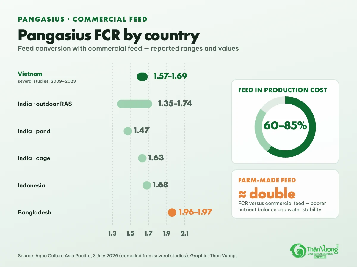 Pangasius FCR with commercial feed: Vietnam 1.57–1.69; India outdoor RAS 1.35–1.74, pond 1.47, cage 1.63; Indonesia 1.68; Bangladesh 1.96–1.97; feed is 60–85% of production cost; farm-made feed gives an FCR about double