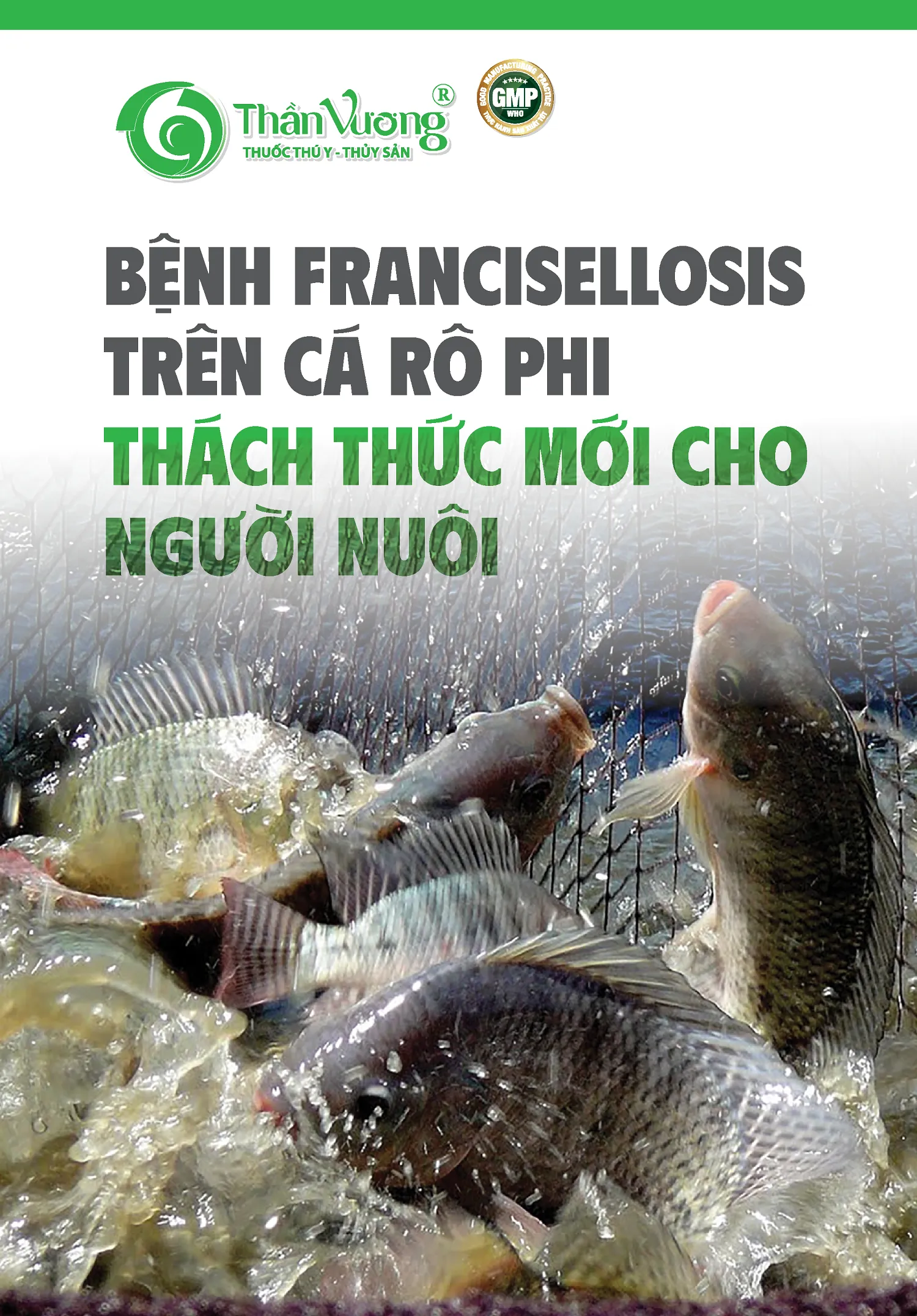 FRANCISELLOSIS IN TILAPIA – A NEW CHALLENGE FOR FARMERS