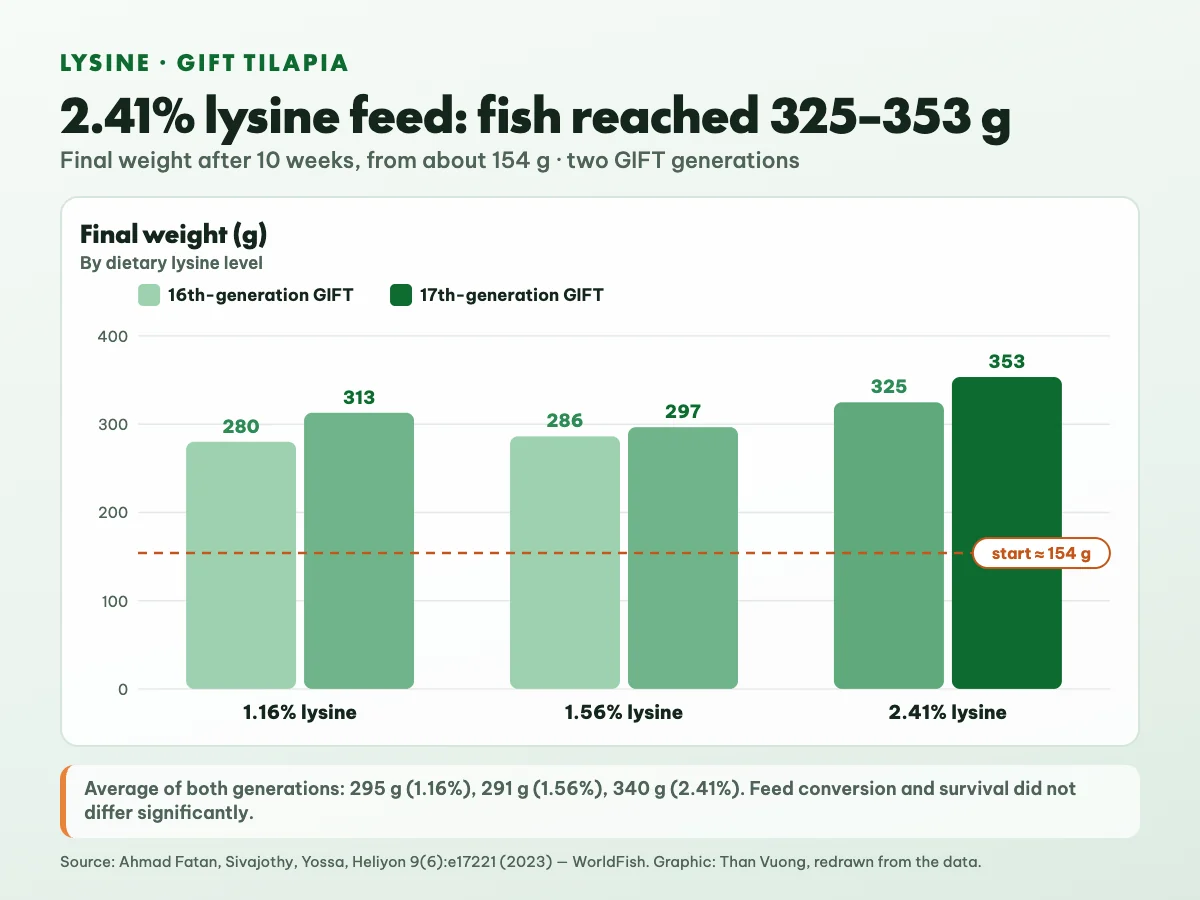 Chart of final weight of 16th- and 17th-generation GIFT tilapia after 10 weeks at three lysine levels: 280 and 313 g at 1.16%, 286 and 297 g at 1.56%, 325 and 353 g at 2.41%