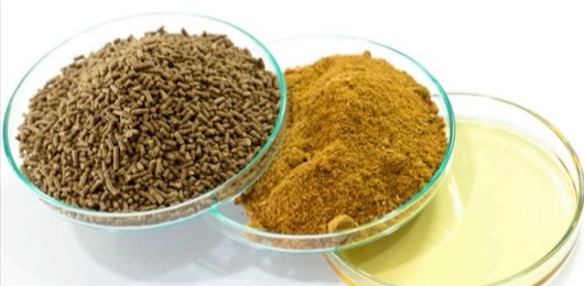 Alternative aquafeed ingredients