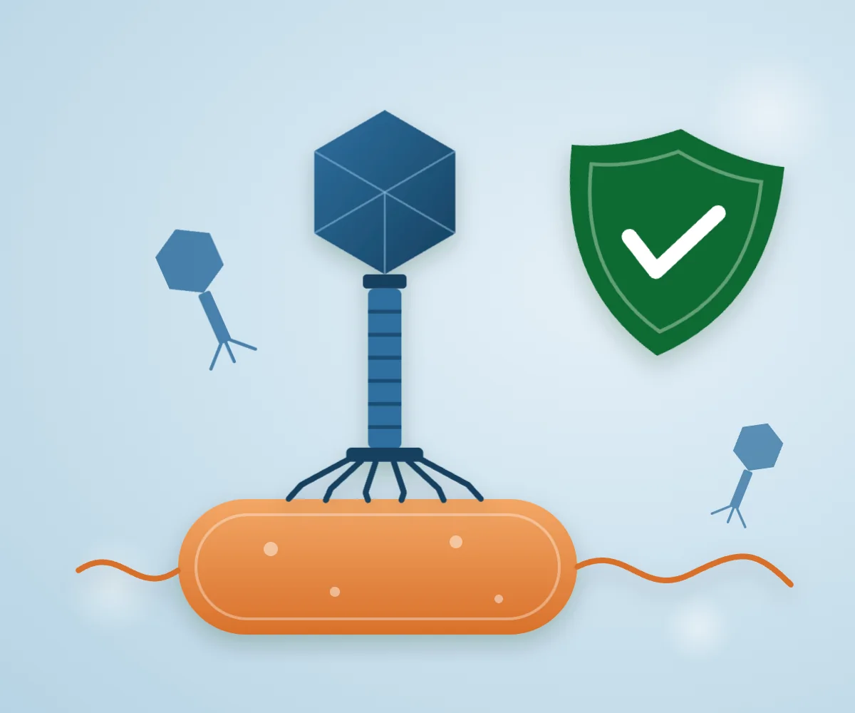 Phages to protect shrimp and fish: trial evidence and why they have not reached farms