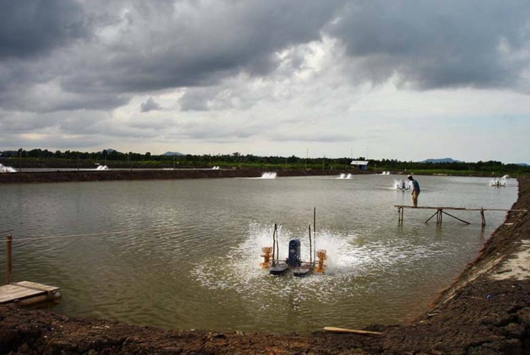 Shrimp pond with a paddlewheel aerator in Indonesia, archive photo from 2007