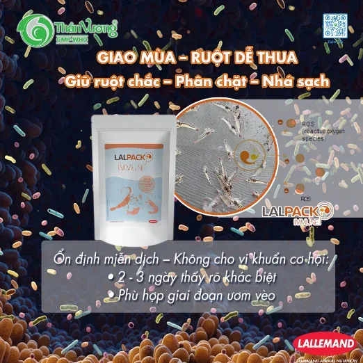 LALPACK IMMUNE — immune stabilisation, firmer gut