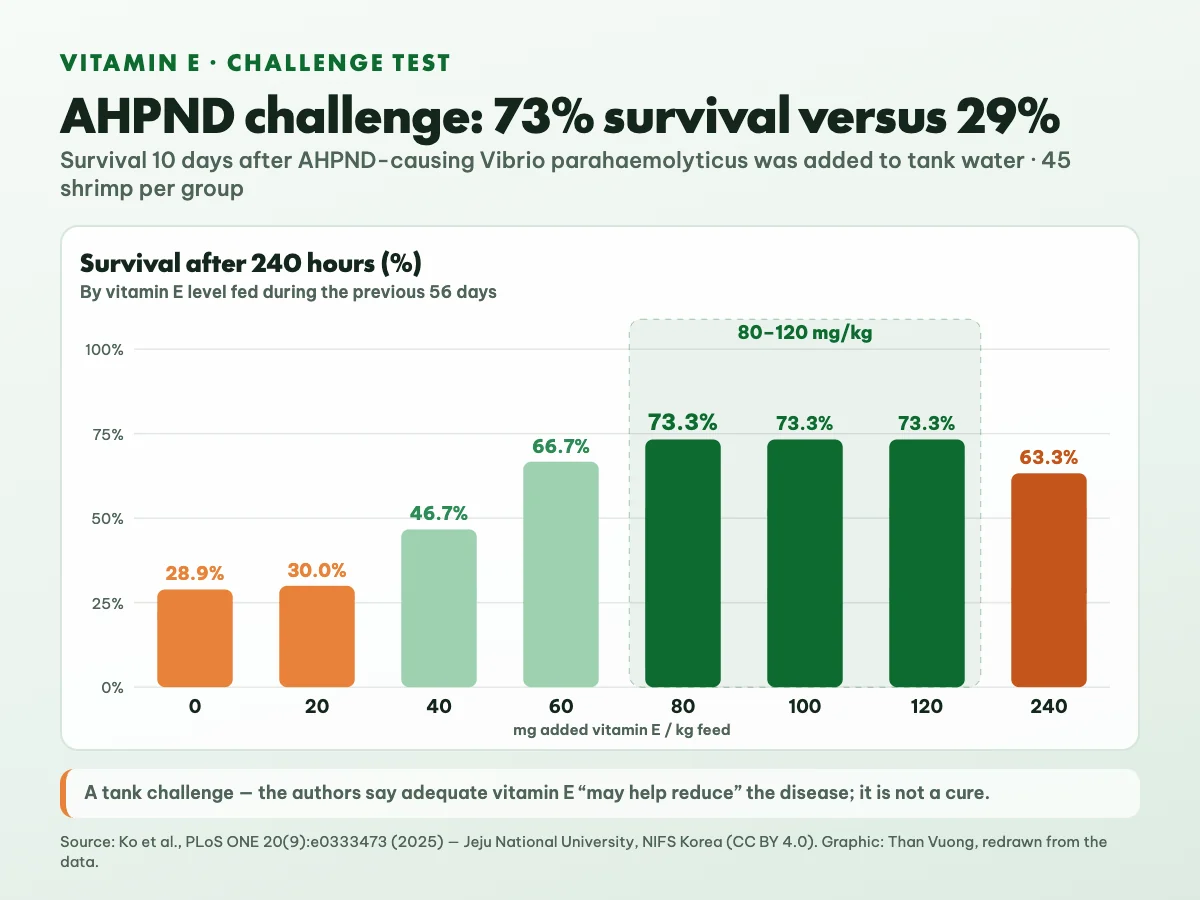 Chart of whiteleg shrimp survival 10 days after a challenge with Vibrio parahaemolyticus causing acute hepatopancreatic necrosis disease: 28.9% without vitamin E, 73.3% at 80, 100 and 120 mg/kg, 63.3% at 240 mg/kg