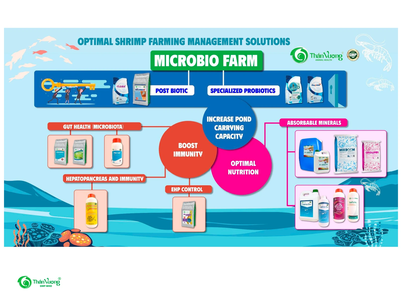 Microbio Farm overview: postbiotic + specialized probiotics raise pond carrying capacity, combined with gut health, hepatopancreas & immunity, EHP control, absorbable minerals and optimal nutrition.