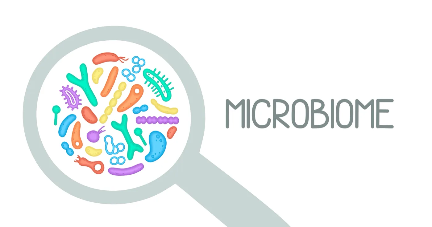 Microbiome under the lens — illustration