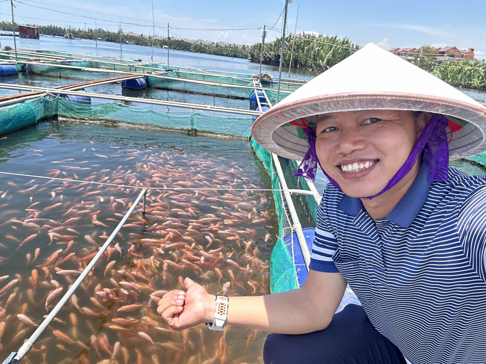 Cá rô phi đỏ nuôi lồng trên sông