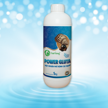 POWER GLUTA
