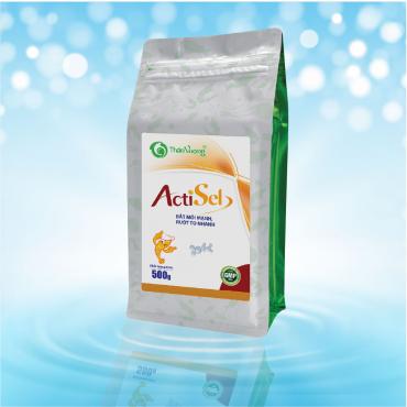 ACTISEL 1