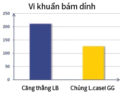 Bar chart: adhesion of strain LB about 205, strain L. casei GG about 125