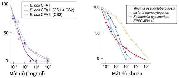 Two line charts: invasion rates of E. coli, Yersinia, Listeria, Salmonella, EPEC fall as density increases