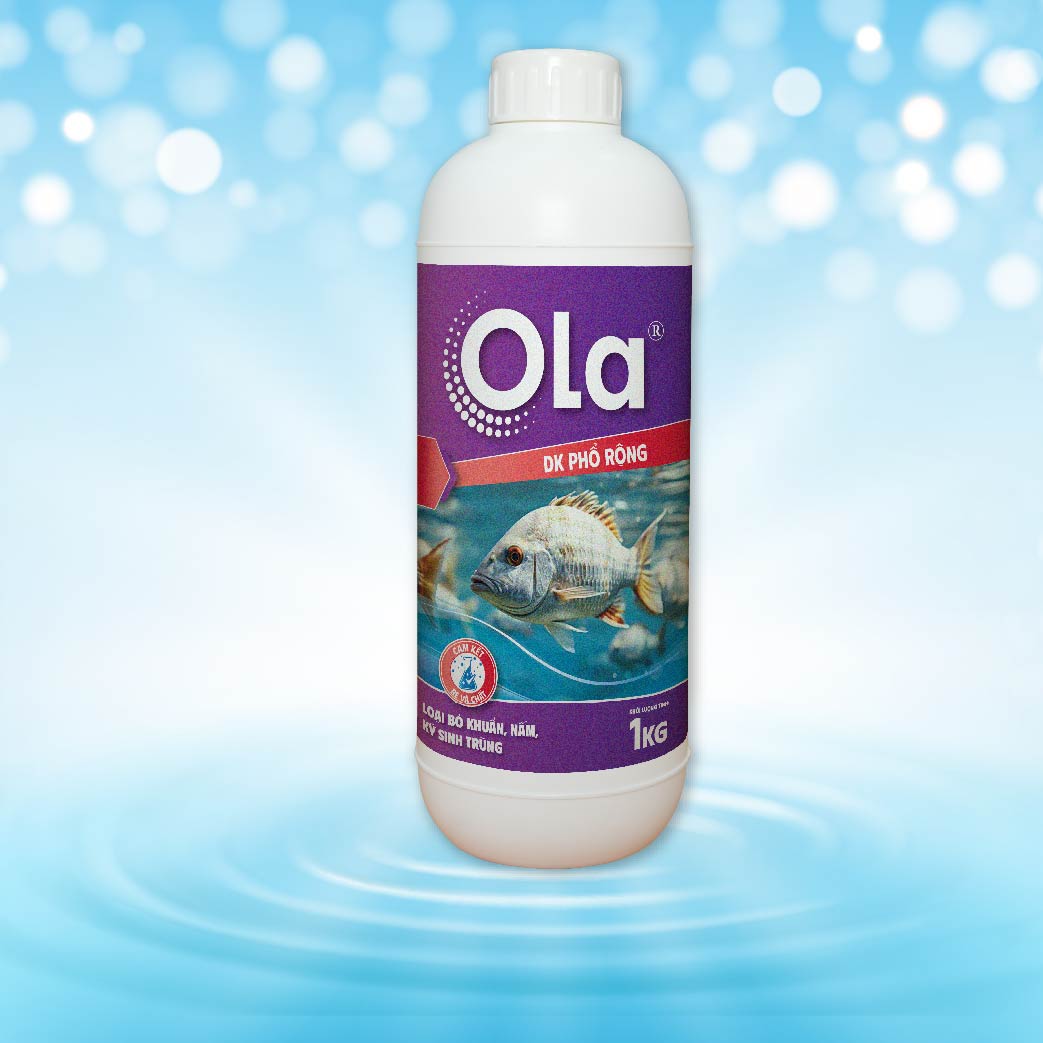 OLA DK Phổ Rộng 1