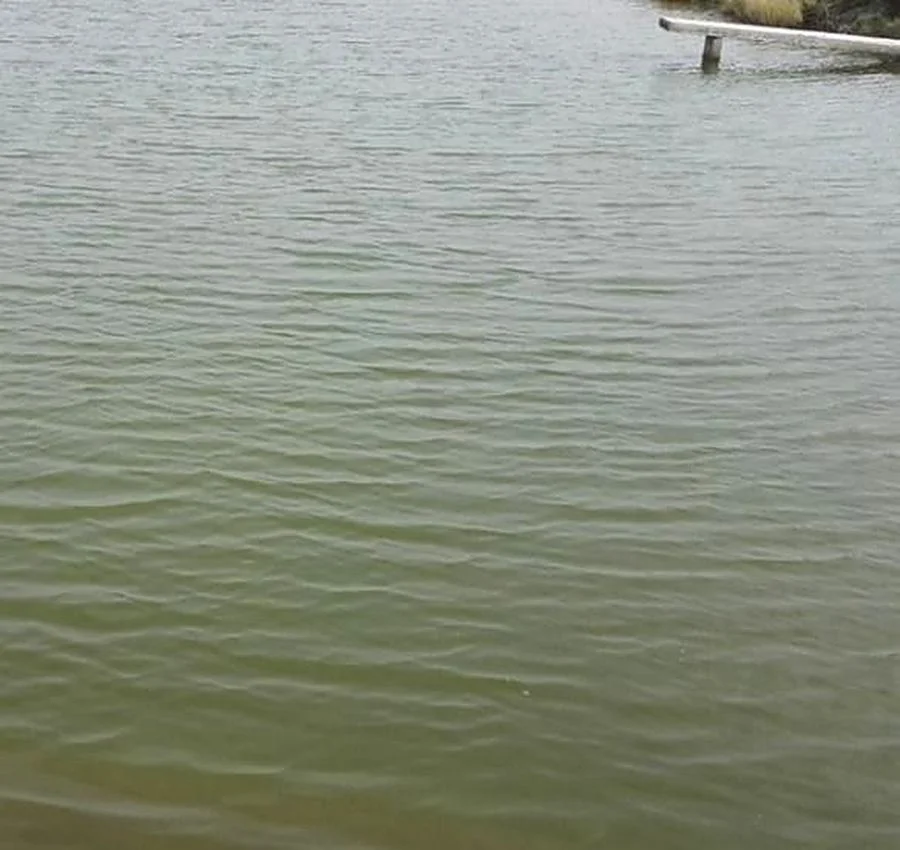 Demo pond before coloring, pale water