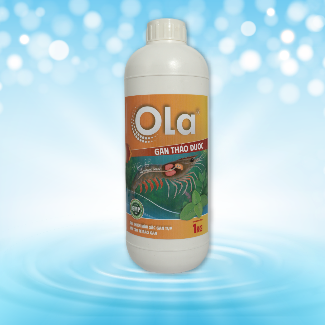 OLA Gan Thảo Dược 1
