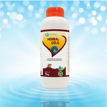 HERBAL GOLD 6