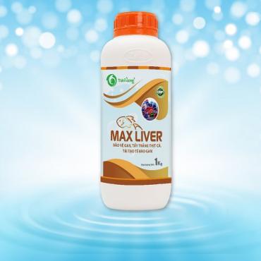MAX LIVER (Dung dịch) 1