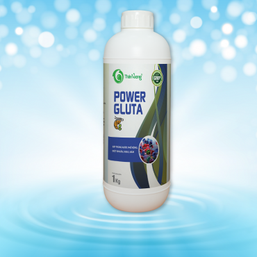 POWER GLUTA 1