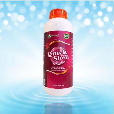 QUICKSHELL GOLD 1