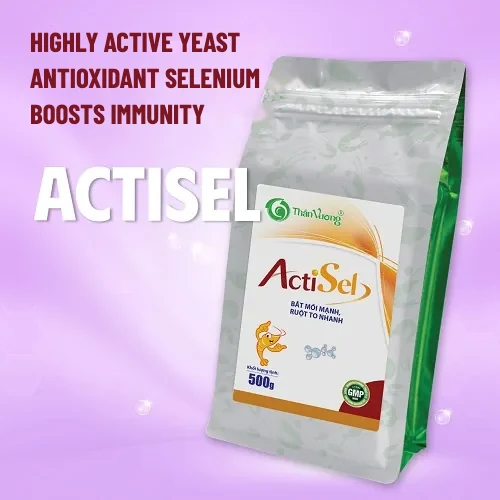 ACTISEL