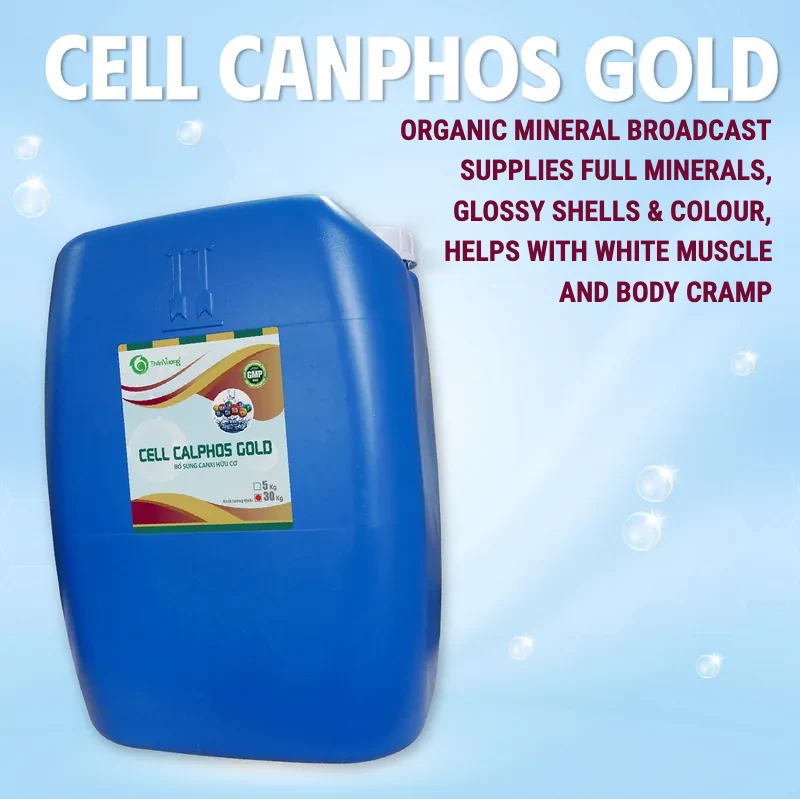 CELL CANPHOS GOLD