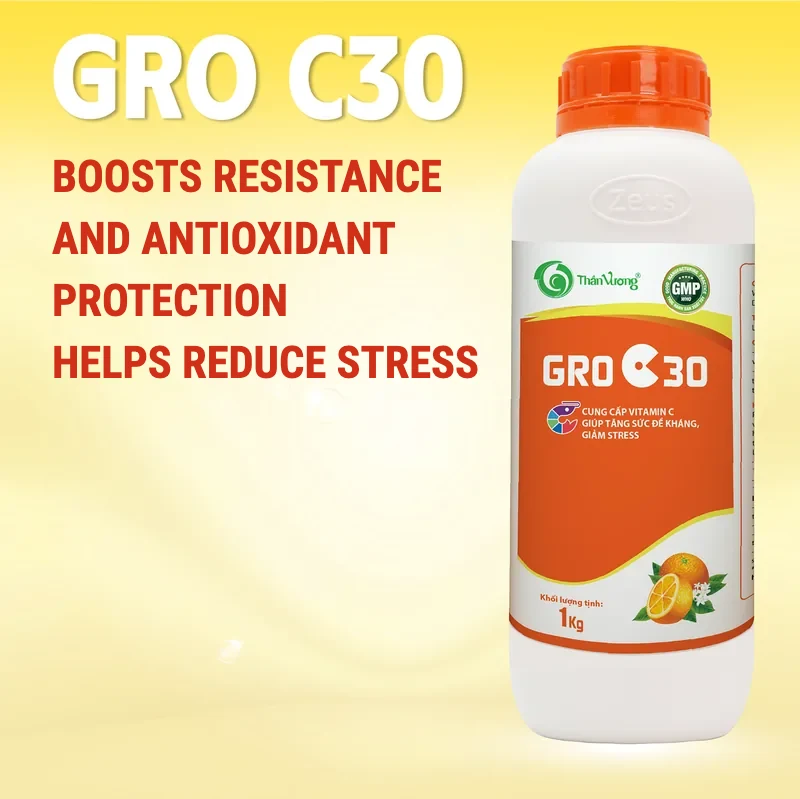 GRO C30