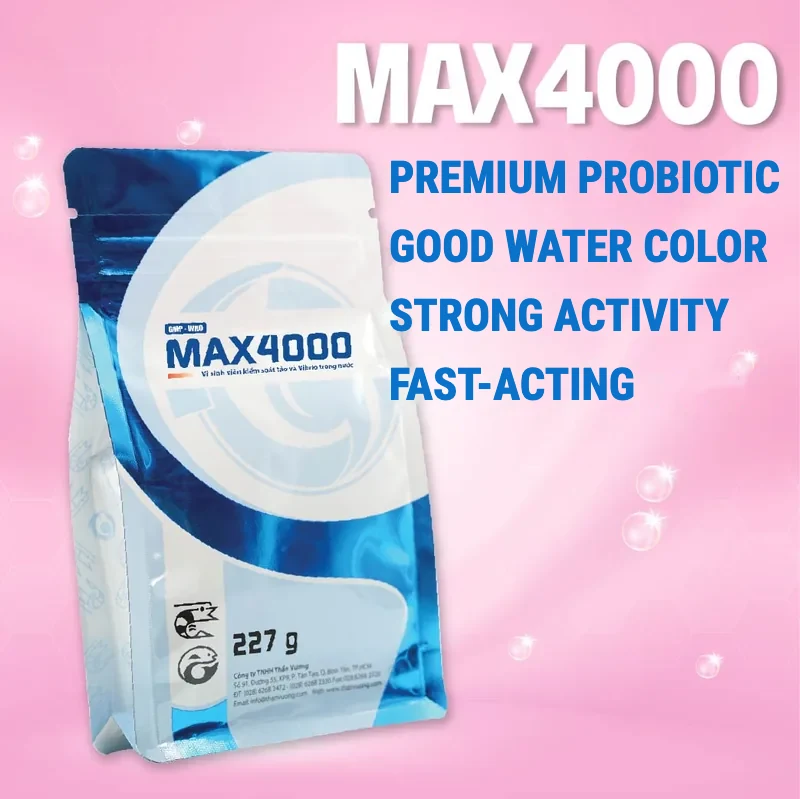 MAX 4000