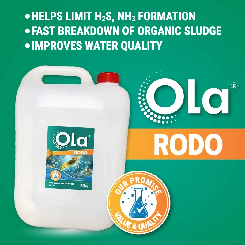 OLA RODO