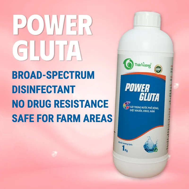 POWER GLUTA