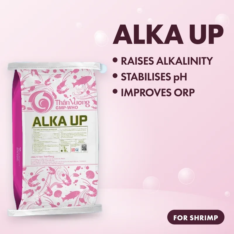 ALKA UP