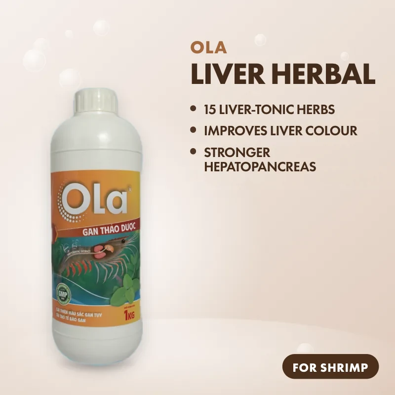 OLA Liver Herbal