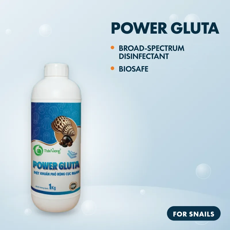POWER GLUTA