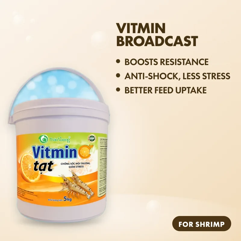 VITMIN BROADCAST