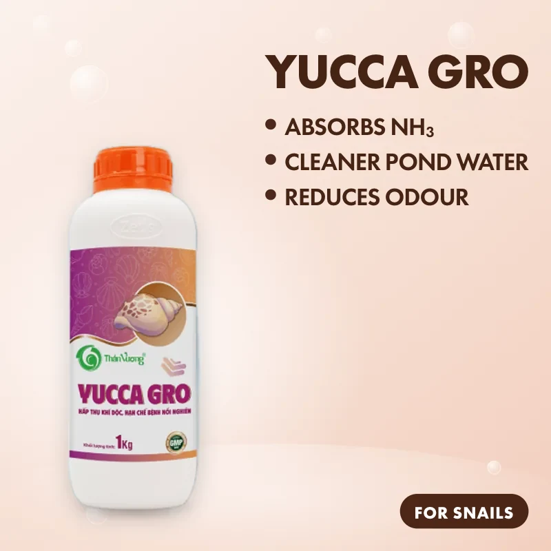 YUCCA GRO