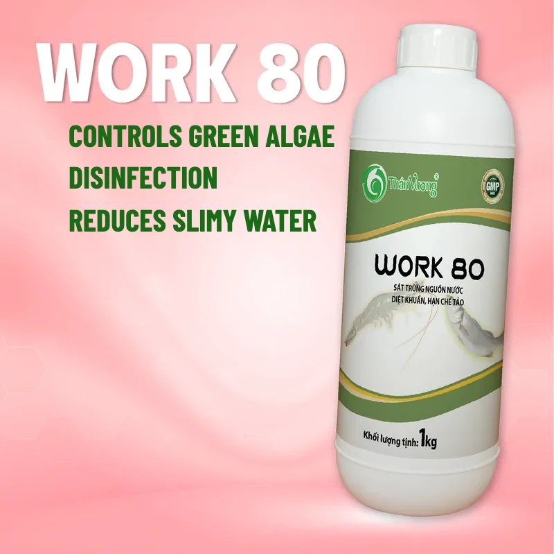 WORK 80