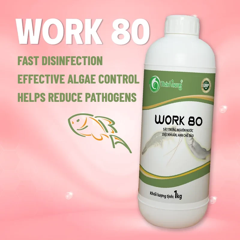 WORK 80