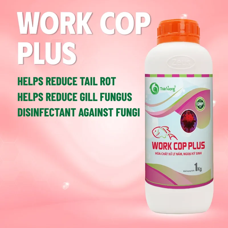 WORK COP Plus