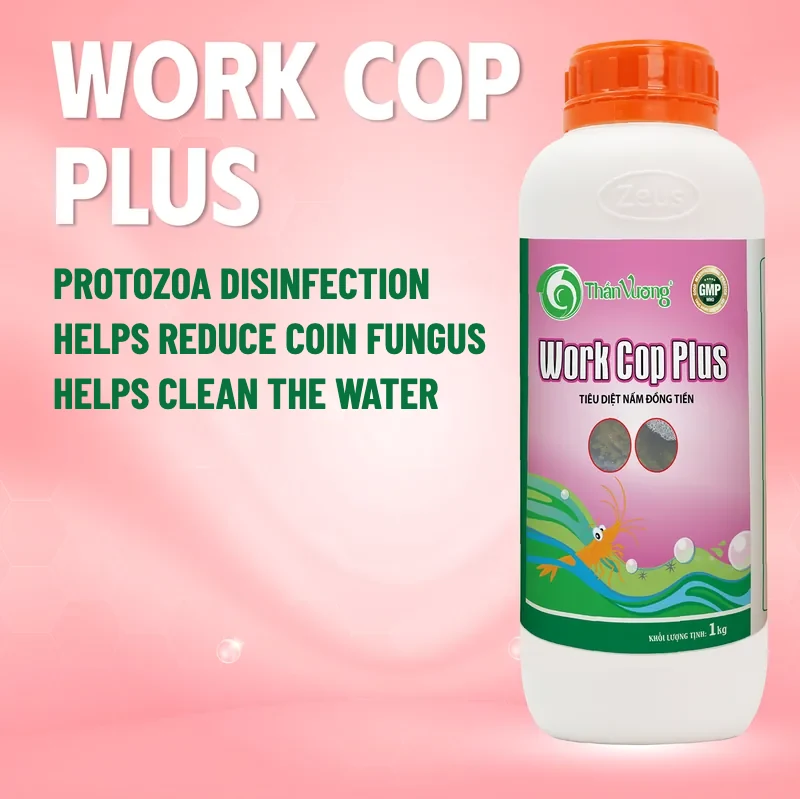 WORK COP Plus