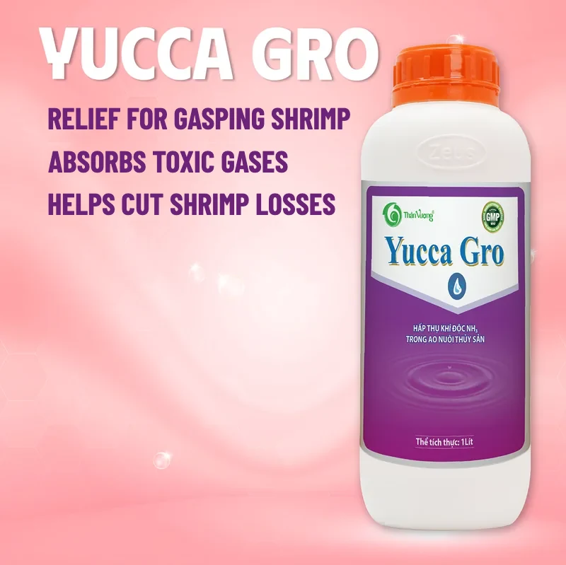 YUCCA GRO