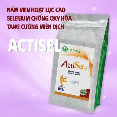 ACTISEL