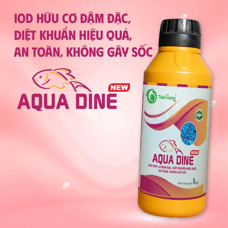 AQUA DINE New