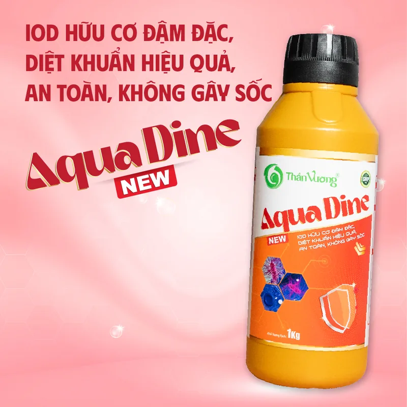 AQUA DINE New