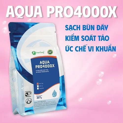 AQUA PRO4000X 2