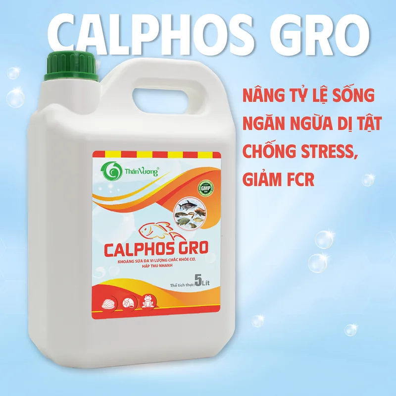 CALPHOS GRO